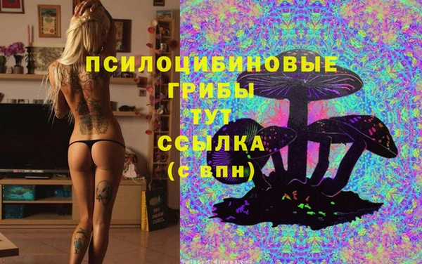 амфетамин Алексин