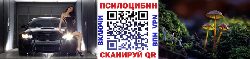 где найти   Дрезна  Галлюциногенные грибы ЛСД 